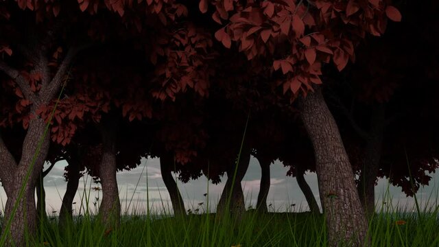Recorrido por peque&ntilde;o bosque de  &aacute;rboles Arce japon&eacute;s palmeado, con pasto y flores girasol, escena 3d