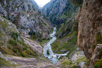 Cares river along the road