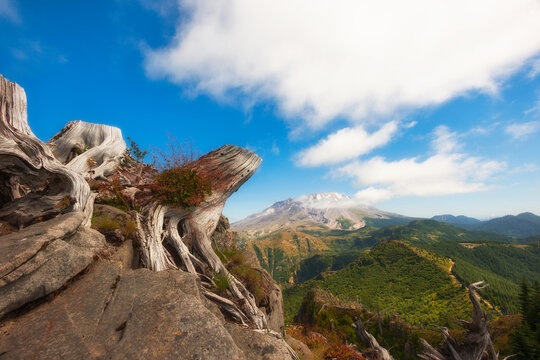 Hiking Castle Peak In Gifford Pinchot National Forest