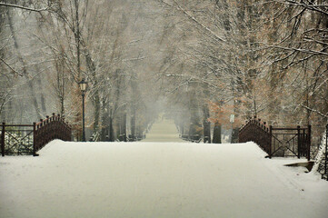 Park w Pszczynie zimą