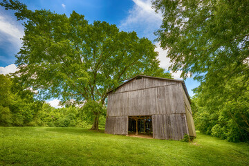 Obraz premium Natchez Trace Parkway in Tennessee, USA