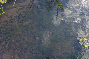 Clouds are reflected in flowing water in a small river, natural background for text