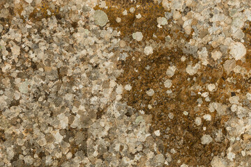 Background with natural stone