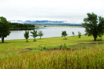 landscape with lake and trees
