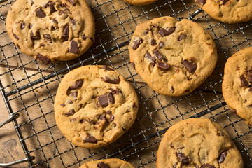 Warm Homemade Chocolate Chip Cookies