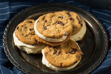 Homemade Ice Cream Sandwiches