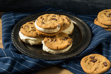 Homemade Ice Cream Sandwiches
