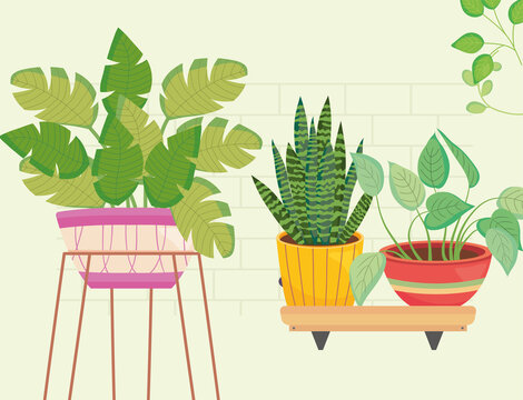 plants inside pots in vase and on shelf vector design