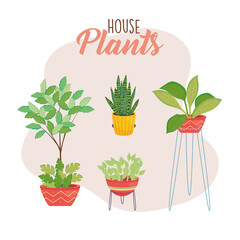 house six plants inside pots vector design