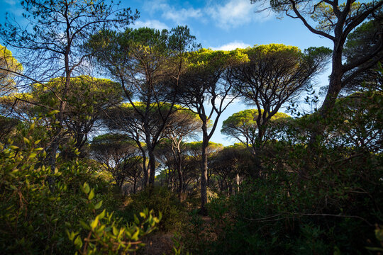 Parco della Maremma