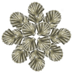 pattern design of sea shells flower like