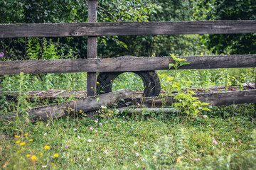 fence in a garden