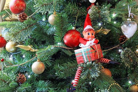 Naughty elf on the shelf sat on a Christmas tree opening a gift.