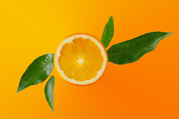 Fresh orange slice with leaves isolated on gradient color background