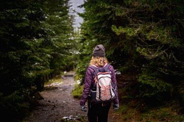 female hiker on a trekking trail in forest