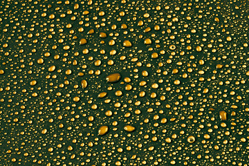 Water drops on gold background.