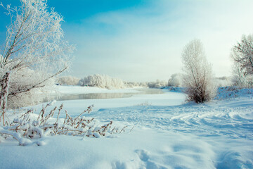 winter, cold, frost, trees, landscape, winter forest, forest, wallpaper, river, water, stream