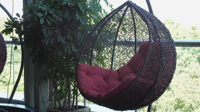 Black wicker cocoon armchair with red pillow hanging on modern restaurant terrace near long green home plants close view. Concept restaurant interior