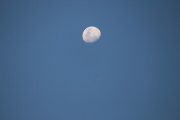 moon in the sky