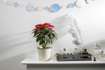 Christmas star, red poinsettia on a white fireplace with a figurine of an angel