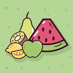 watermelon apple pear kiwi and lemon vector design