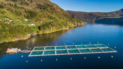 Salmon fish farm. Bergen, Norway.
