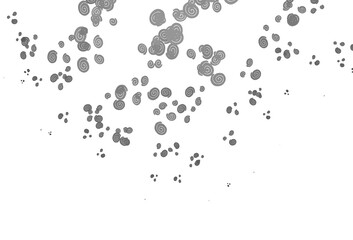 Light Silver, Gray vector background with liquid shapes.