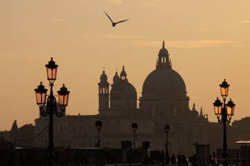 Santa Maria della Salute in Venice at sunset - obrazy, fototapety, plakaty