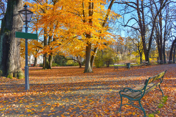 Colorful and vivid autumn colors and bright blue sky in the park, in Graz, Styria region, Austria.