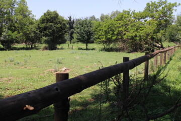 fence in the countryside