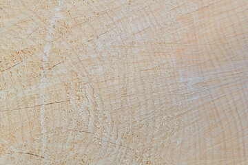 Texture of the saw cut