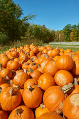 wagon of pumpkins