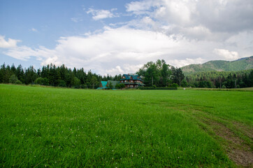 landscape with grass and sky
