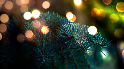 Fototapeta premium Branches of New Year's green tree with bokeh lights. Green festive background, golden bokeh. Narrow banner, festive background.