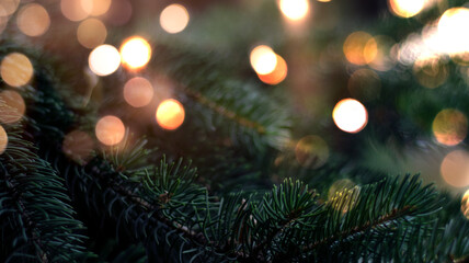 Branches of New Year's green tree with bokeh lights. Green festive background, golden bokeh. Narrow banner, festive background.