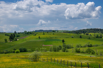 Obraz premium landscape with field and blue sky