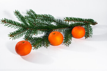 Sprig of Christmas tree and tangerine 3