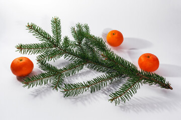 Sprig of Christmas tree and tangerine 1
