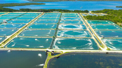 Aerial view of the prawn farm with aerator pump. Bohol, Philippines. Ponds for shrimp farming.