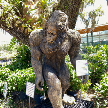 A wooden statue of bigfoot at a garden shop in Orlando, Florida.