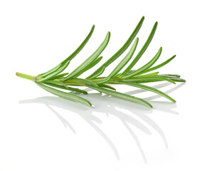 Fototapeta premium fresh green rosemary