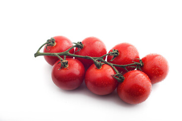 tomatoes on a white background