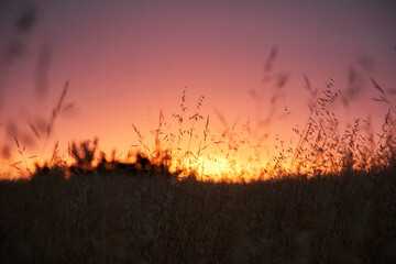 Arroyo Grande California Landscape During Sunset