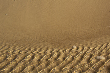 Abstract golden sandy Black sea beach surface with wave lines naturel texture and backgrounds 