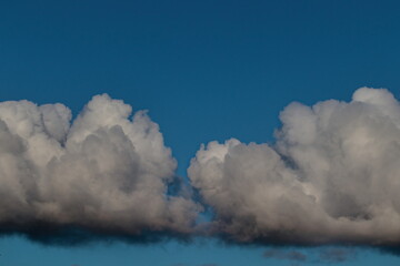 Obraz premium large white cumulus clouds with their bases shaded with gray, floating gently under a blue sky.