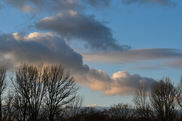 Silhouettes of trees against blue sky with spectacular clouds in winter, Coventry, England