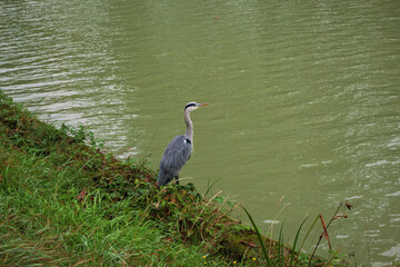 Sur le chemin de Compostelle, les divers paysages, villes et villages traversés.