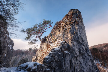 jura. zima, śnieg, turystyka