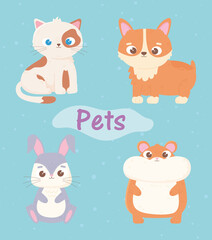 Obraz na płótnie Canvas cute cat dog hamster and rabbit pets cartoon animals