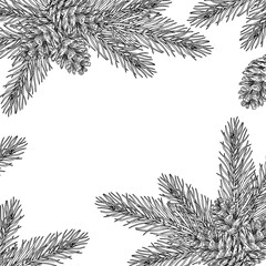 Christmas background. A sketch of a Christmas tree branch with cones.